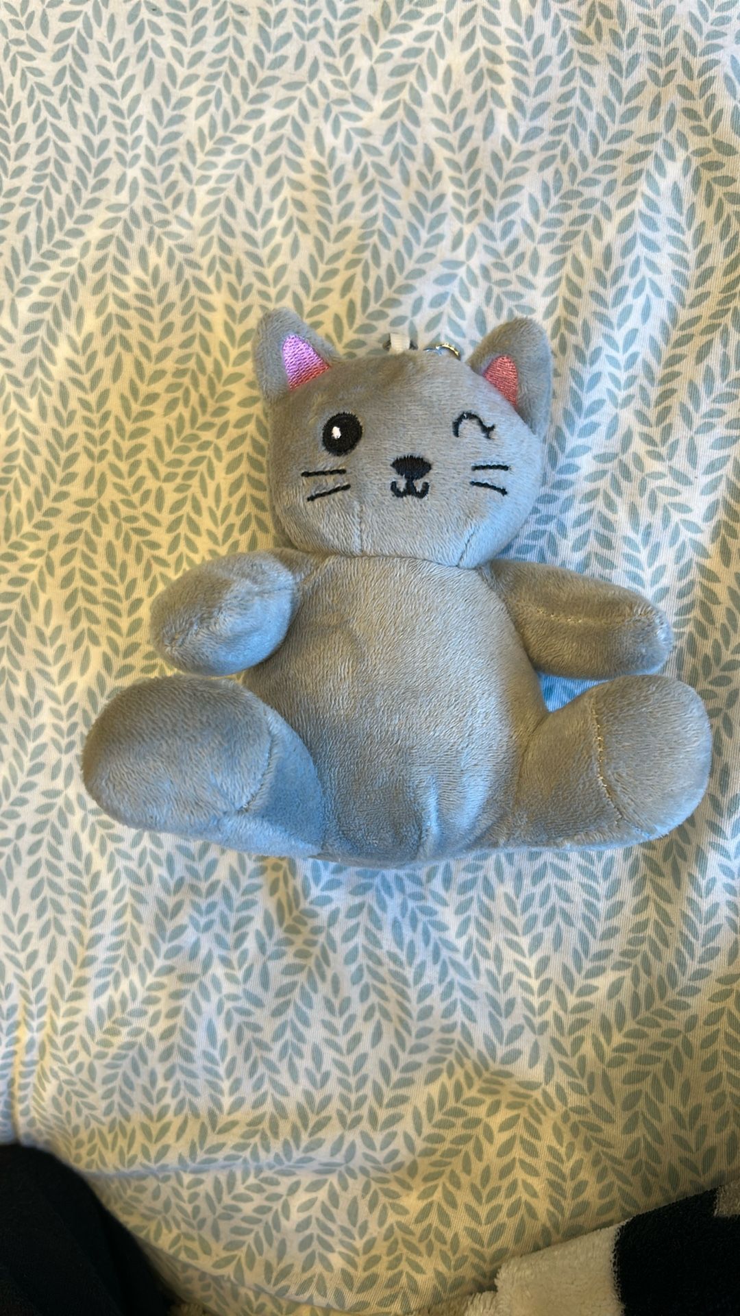 A Cat For 10000buvks