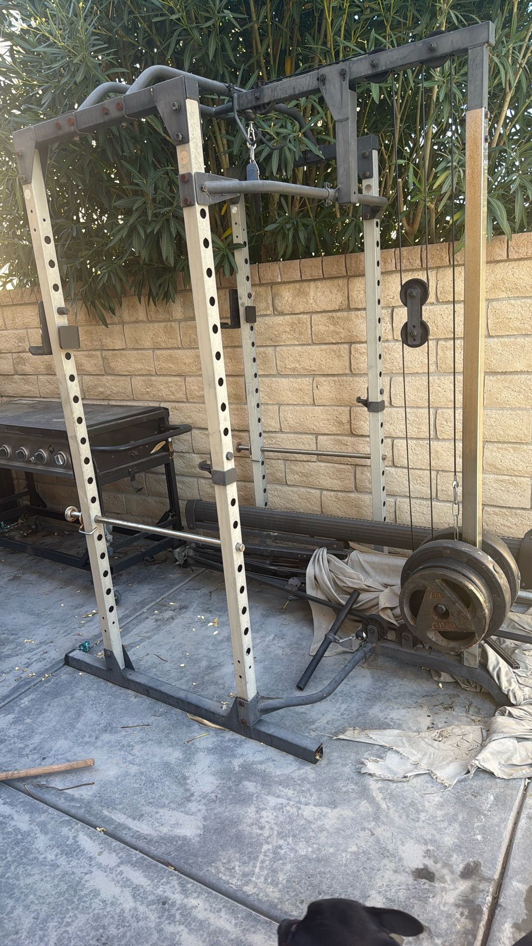 ROGUE FUNCTIONAL TRAINER