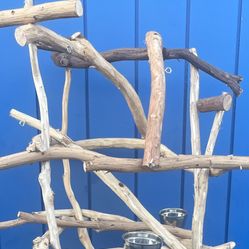 Thick Curvy n Gnarly /— Just For  Your MACAW … Hard Durable Ribbon Wood Lasts For Years !!! AAAA+ Quality 