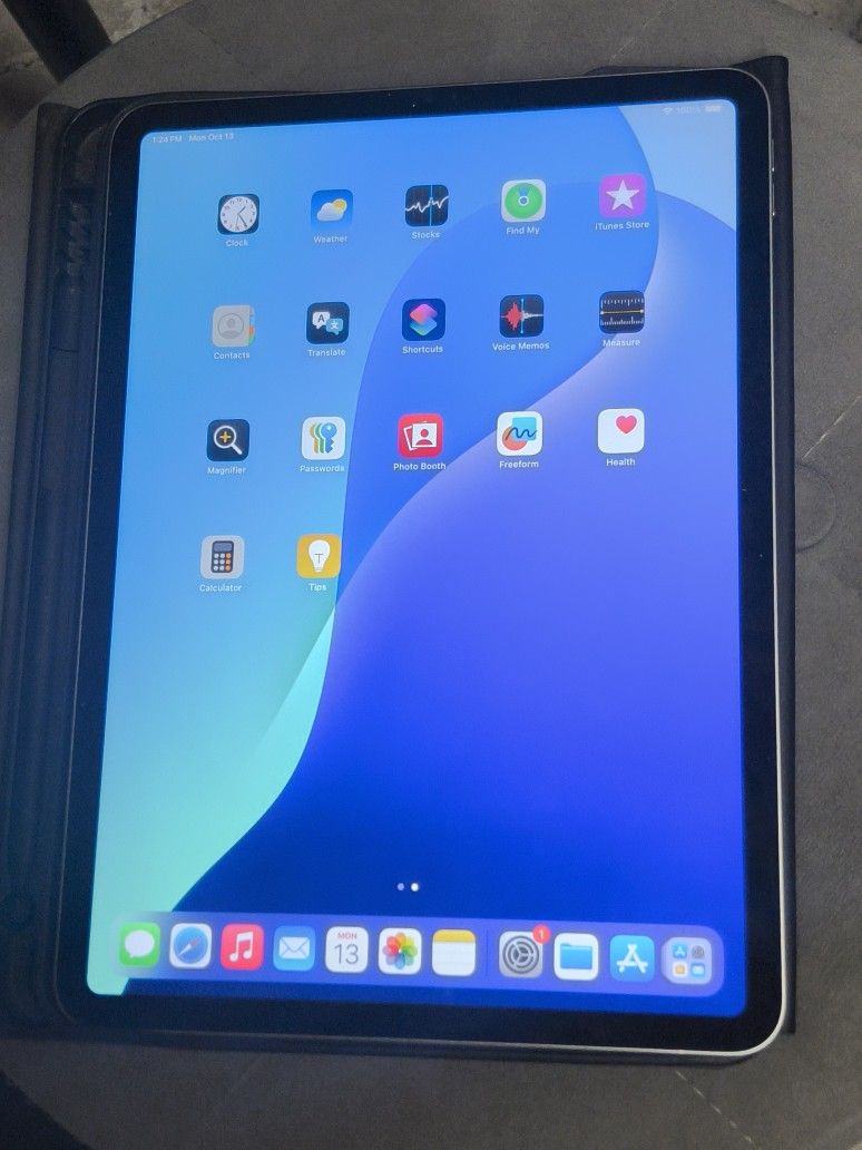 IPad Pro 11"