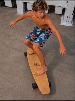 Long board skateboard Magneto