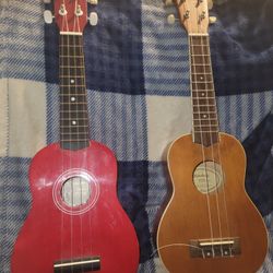 2 Ukulele Great Perfect Look Pics