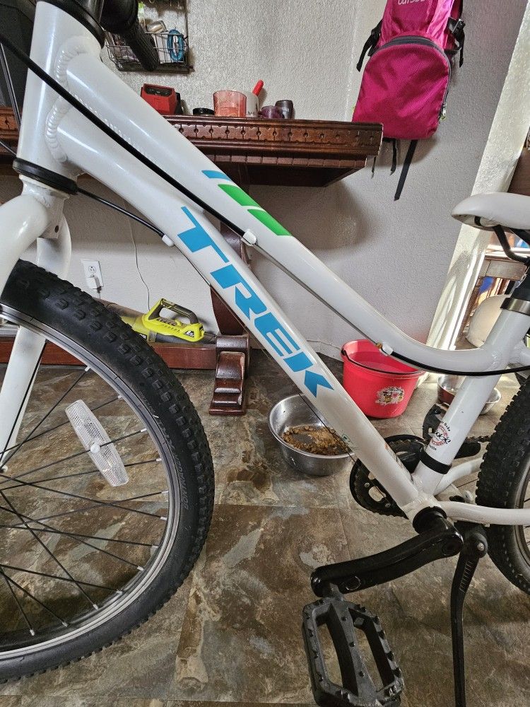 Trek Kids Mountain Bike
