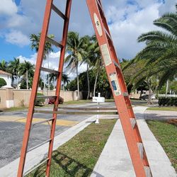 Warner 10ft Ladder 