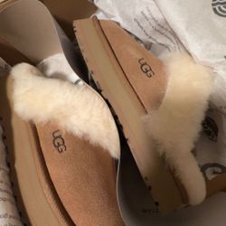 Uggs Disquette 