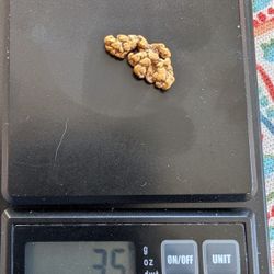 Gold Nugget