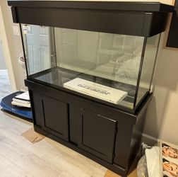 Brand New 90 Gallon Aquarium