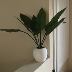 Artificial Plant in White Pot – Modern Decor 🌿
