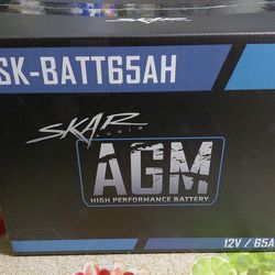 Skar audio battery and battery terminal connections