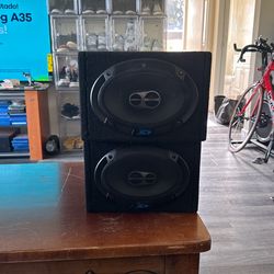 Alpine Speakers Brand New
