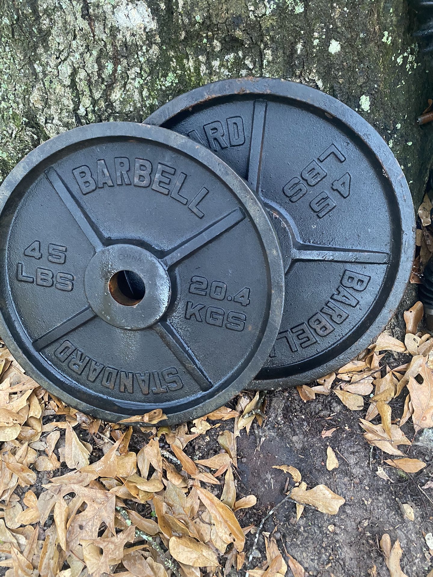 45lb Plates