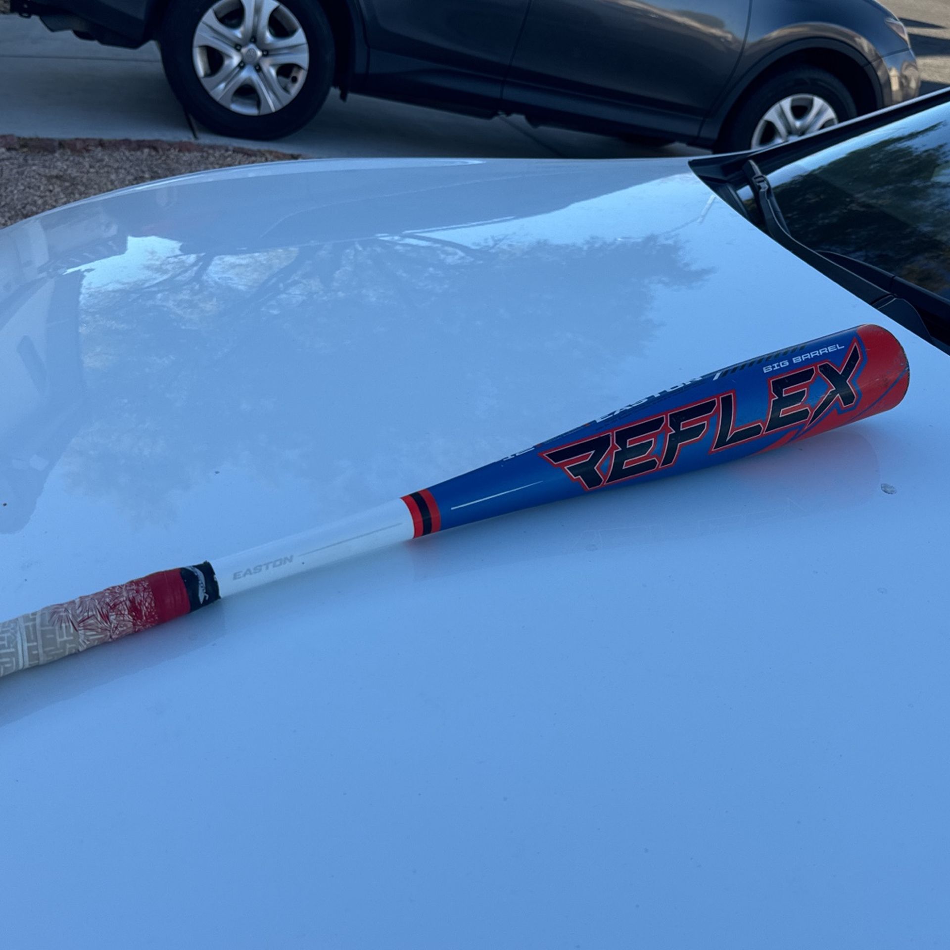 Easton Baseball Bat