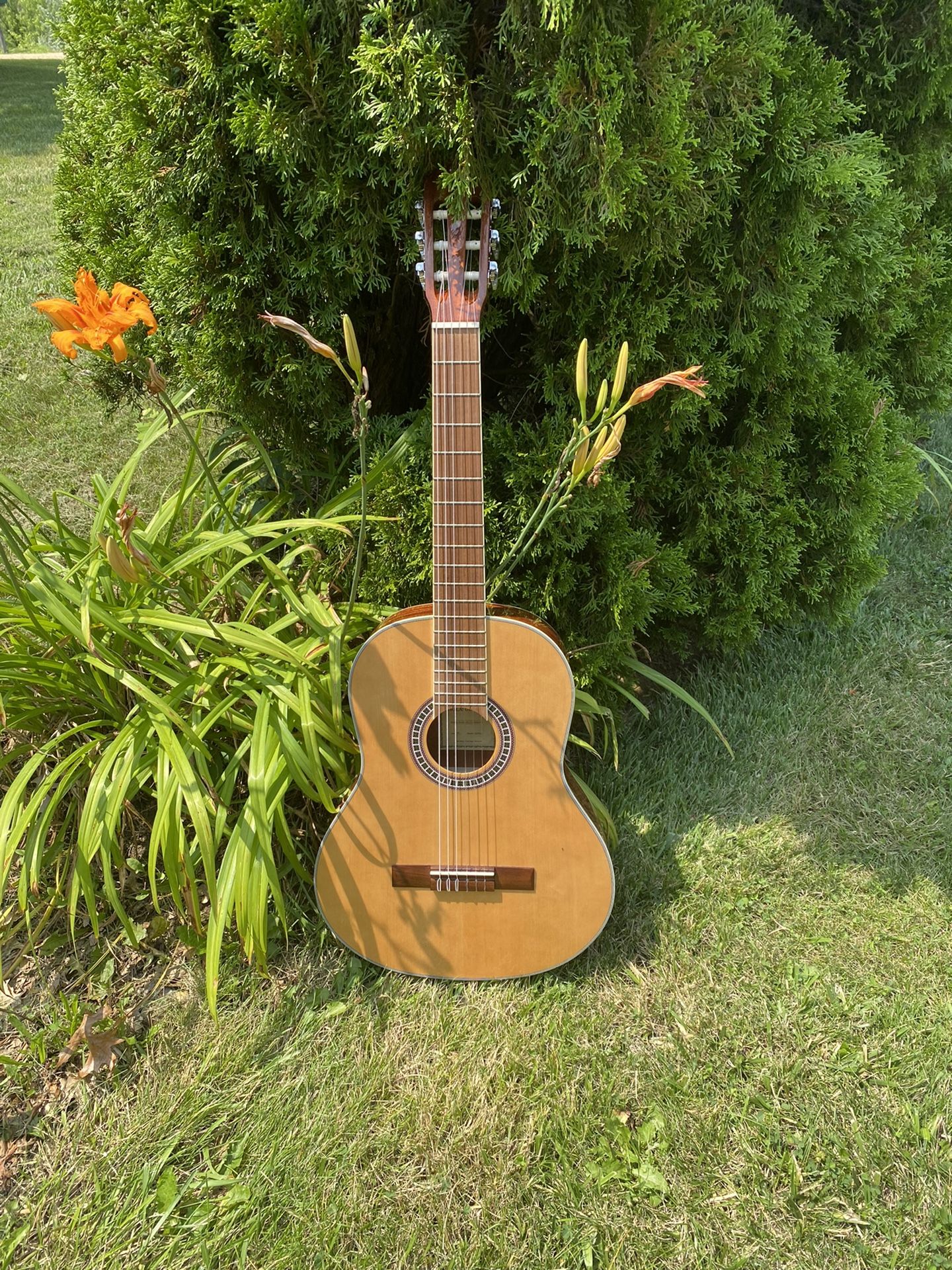 Hola full size guitar