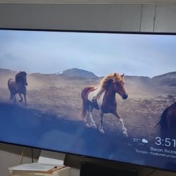 75in. Phillips Smart Tv    250