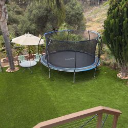 Free Trampoline But You Have To Move It 