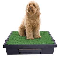 Pet Loo Pet Potty System