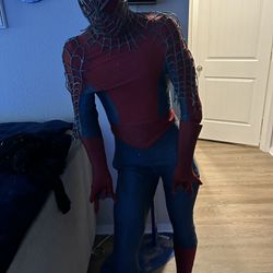 Collectors Edition Life Size Spider-Man Statue