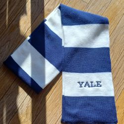 NEW Yale White Blue Striped Scarf Winter Waem University 