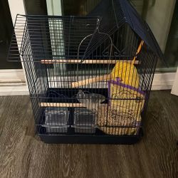 Bird Cage