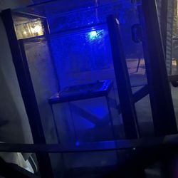 Tanks 3 For 40$with Lights