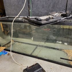 65 Gallon Fish Tank And Light (Led)
