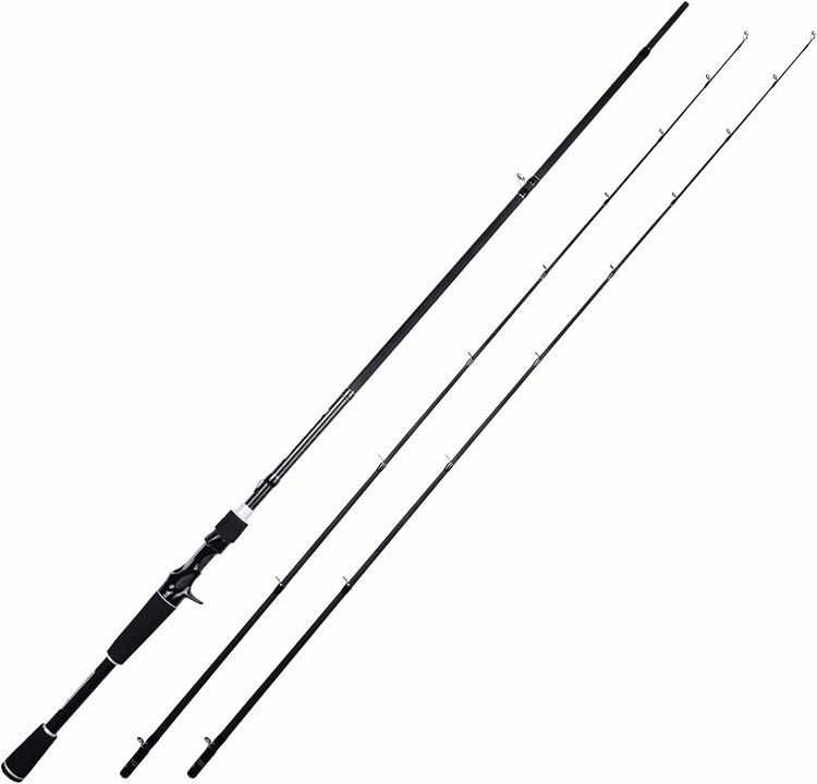 NEW Kastking Perigee II Fishing Rod Twin Tip