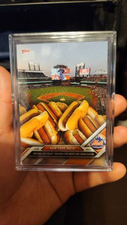 Citi Field Hot Dog Record New York Mets 