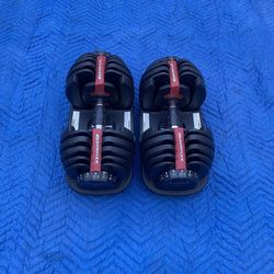 Bowflex Dumbbells