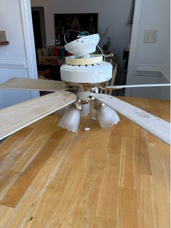 Ceiling fan