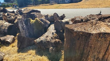 Free firewood