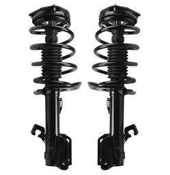 Strut and coil spring