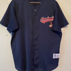 VTG Mark McGwire Cardinals MLB Jersey 