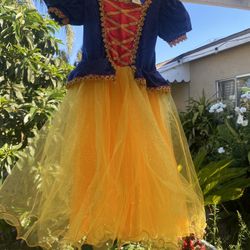 Disney Costume