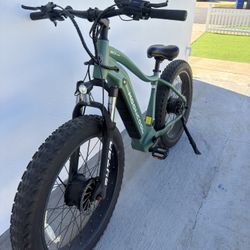 Dual Motor Fat Tire E Bike/Electric Bike