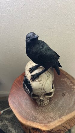 Skull Decor