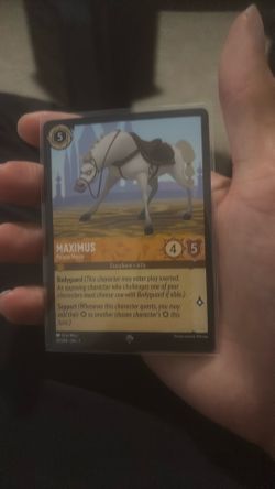 Maximus - Palace Horse - The First Chapter
