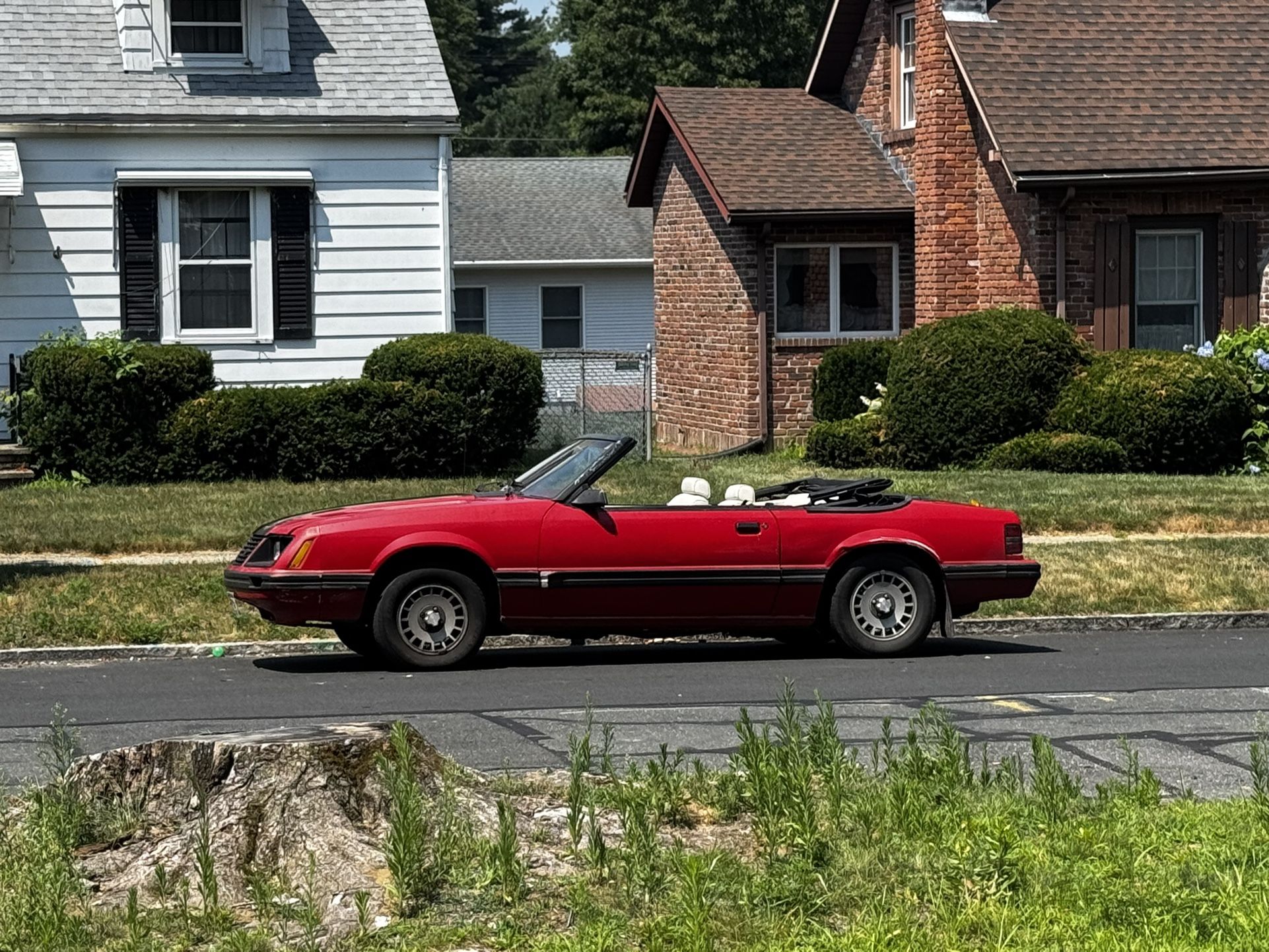 1984 Ford Mustang