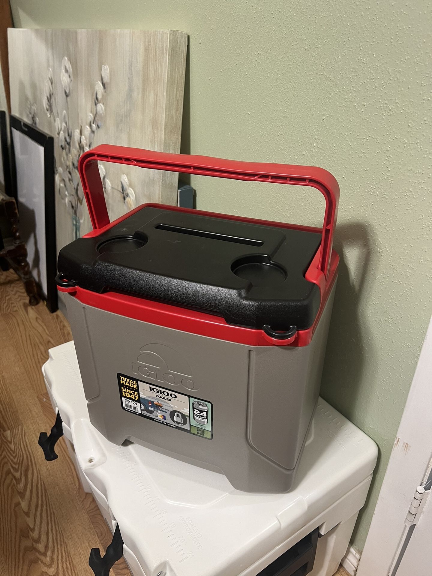 Igloo Cooler 