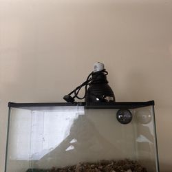 10 Gallon Glass Tank 