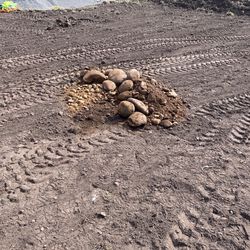 Free Dirt Sod River Rocks