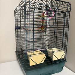 Bird Cage 