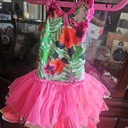 Cute Pink And green Little Dress