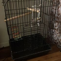 Bird Cage
