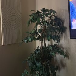 Fake Plants With Vase