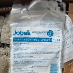 Evergreen Tree Spike With Cap, 11-3-4