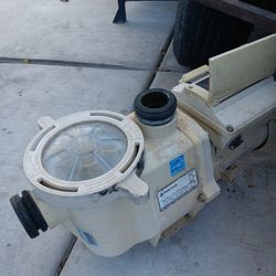 Pool Pump 