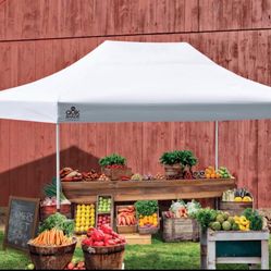 Brand new canopy 10x15