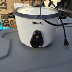 Rice Cooker & Food Steamer