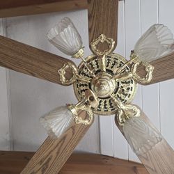 Gold Ceiling Fan With Lights