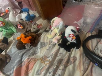 Beanie babies